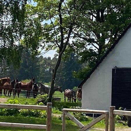 Bondehus Villa Sindal Buitenkant foto