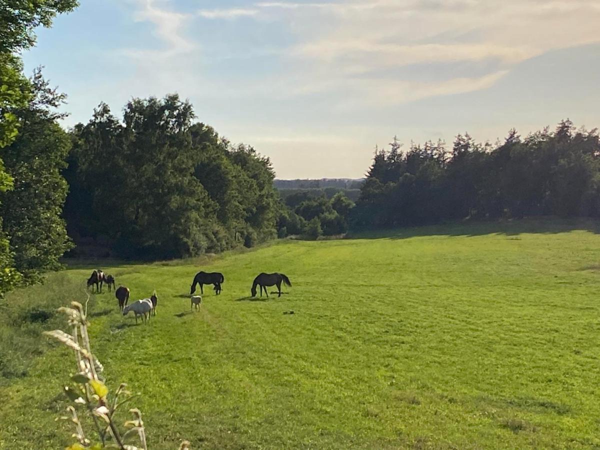 Bondehus Villa Sindal Buitenkant foto
